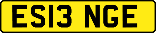 ES13NGE