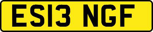 ES13NGF
