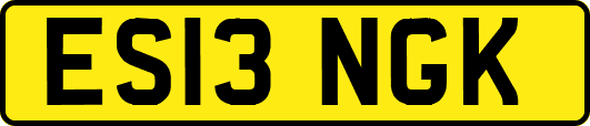 ES13NGK