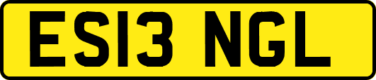 ES13NGL