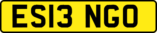 ES13NGO