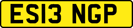 ES13NGP