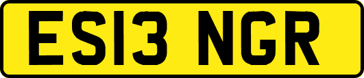 ES13NGR