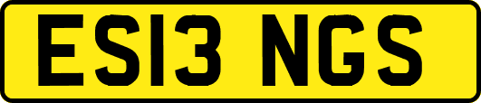 ES13NGS