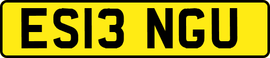ES13NGU