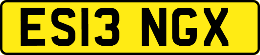 ES13NGX