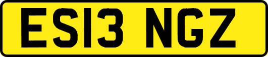 ES13NGZ
