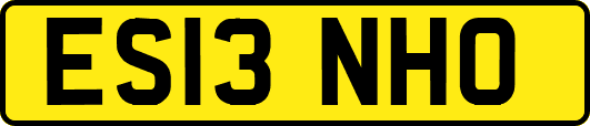 ES13NHO