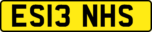 ES13NHS