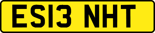 ES13NHT