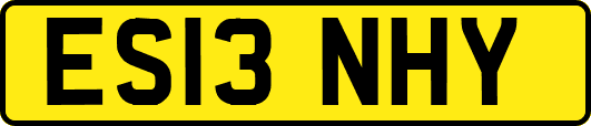 ES13NHY