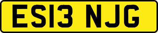ES13NJG