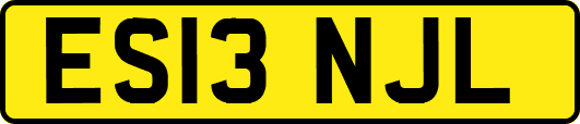 ES13NJL