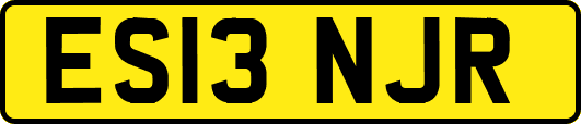 ES13NJR