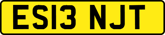 ES13NJT