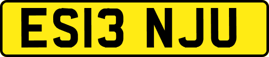 ES13NJU