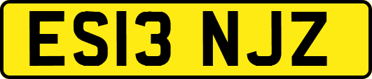 ES13NJZ