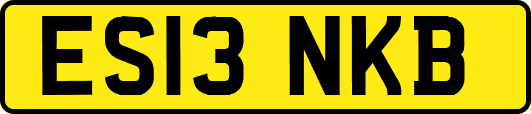 ES13NKB