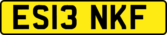 ES13NKF