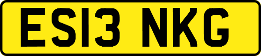 ES13NKG