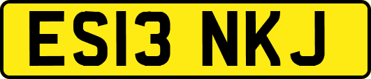 ES13NKJ