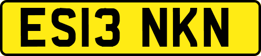ES13NKN