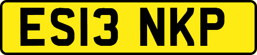 ES13NKP