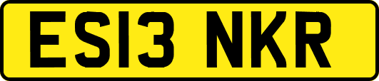 ES13NKR