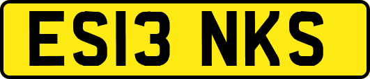 ES13NKS