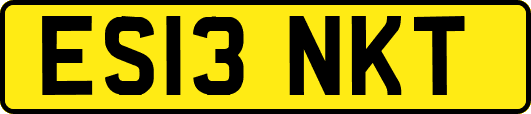 ES13NKT