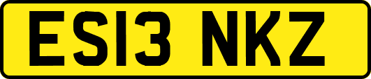 ES13NKZ