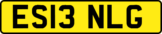 ES13NLG