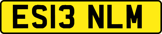 ES13NLM