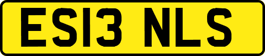 ES13NLS