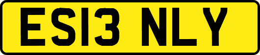 ES13NLY