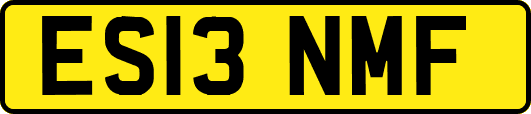 ES13NMF