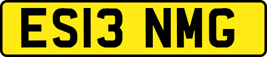 ES13NMG