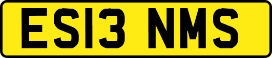 ES13NMS