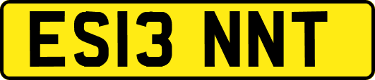 ES13NNT