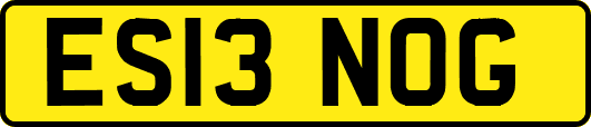 ES13NOG