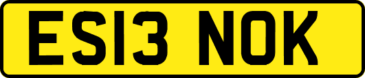 ES13NOK