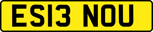 ES13NOU