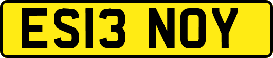 ES13NOY