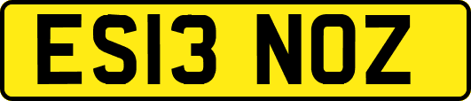 ES13NOZ