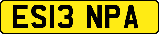 ES13NPA