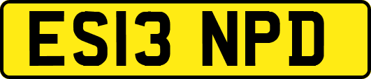 ES13NPD