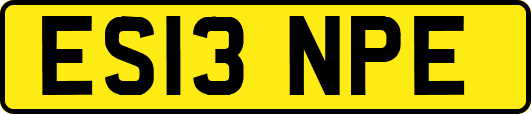 ES13NPE