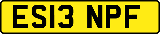 ES13NPF
