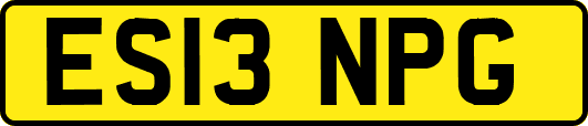 ES13NPG