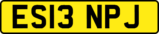 ES13NPJ